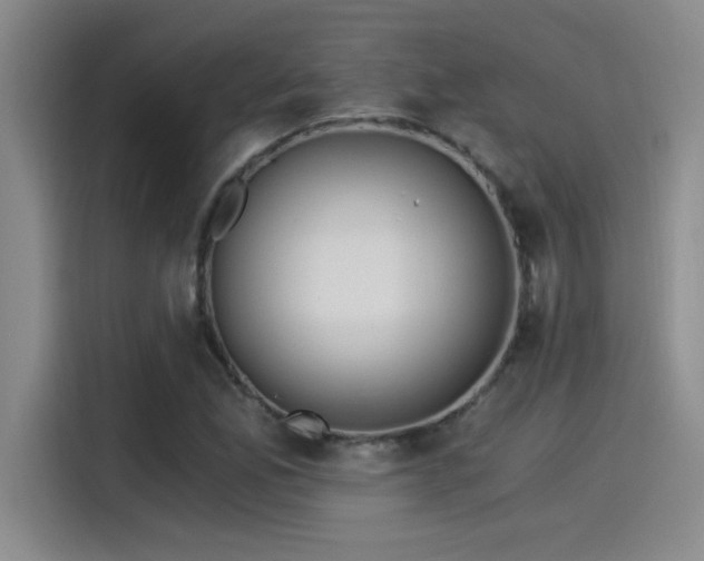 X0000115241165200911061141