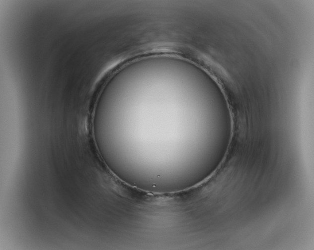 X0000115241166200911061141