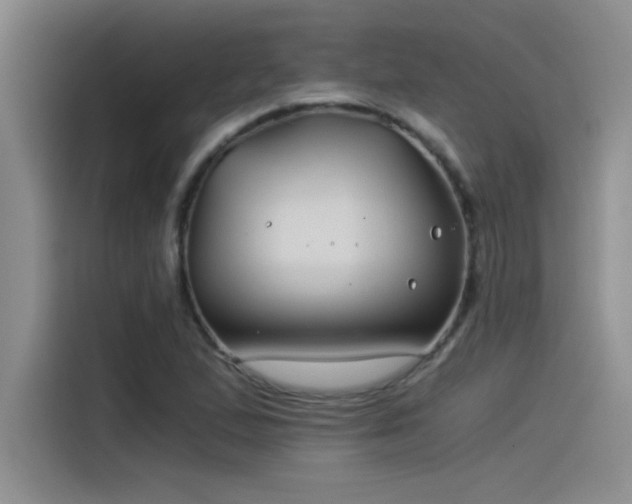 X0000115241167200911061141
