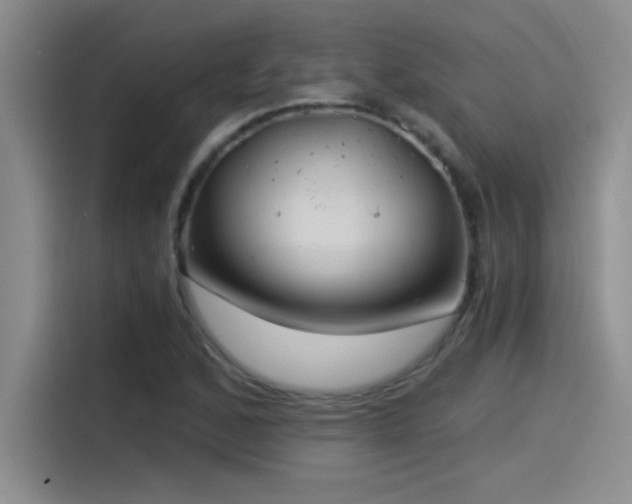 X0000115241168200911061141