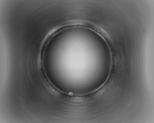 X0000115241172200911061141