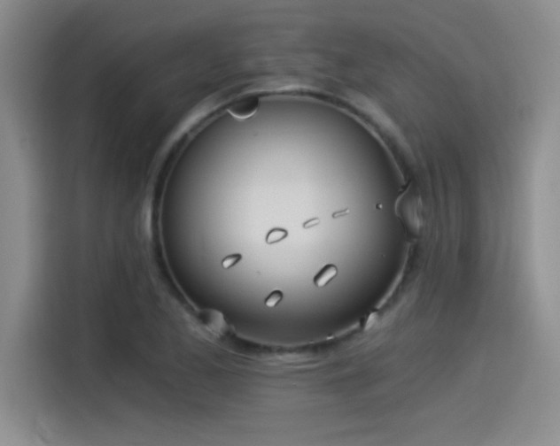 X0000115241173200911061141