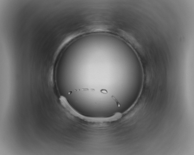 X0000115241174200911061141