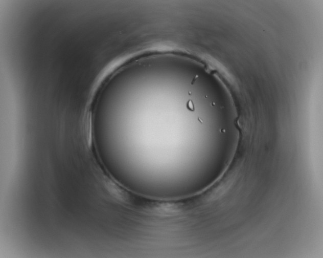 X0000115241175200911061141