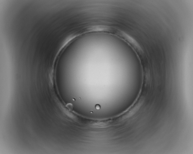 X0000115241178200911061141