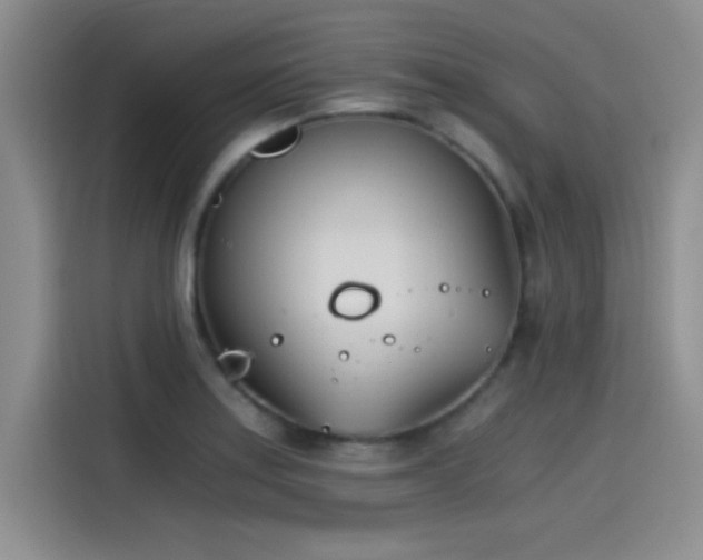 X0000115241179200911061141