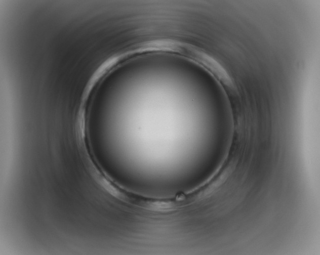X0000115241180200911061141