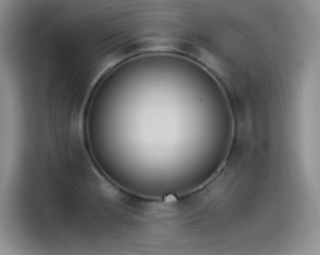 X0000115241181200911061141