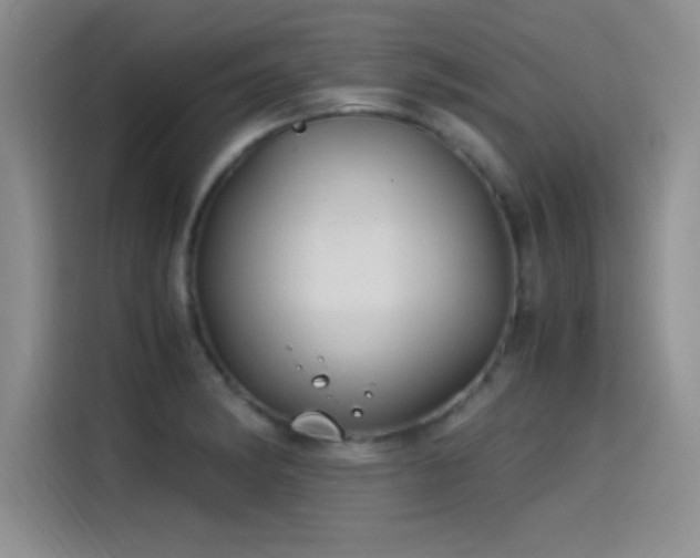 X0000115241182200911061141