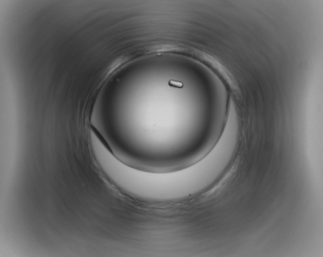 X0000115241185200911061141