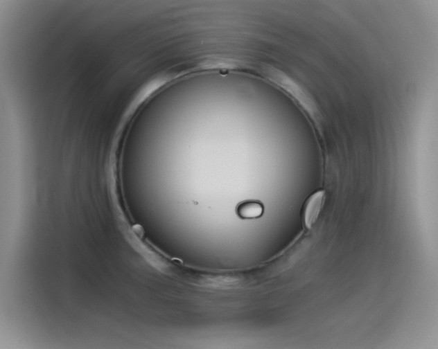 X0000115241187200911061141
