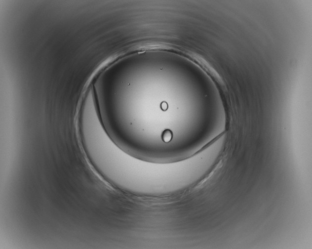 X0000115241189200911061141