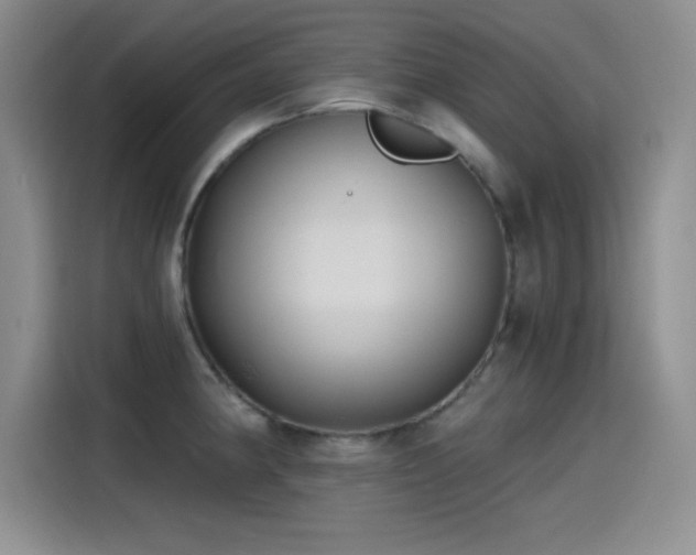 X0000115241190200911061141
