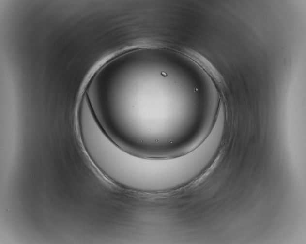 X0000115241196200911061141