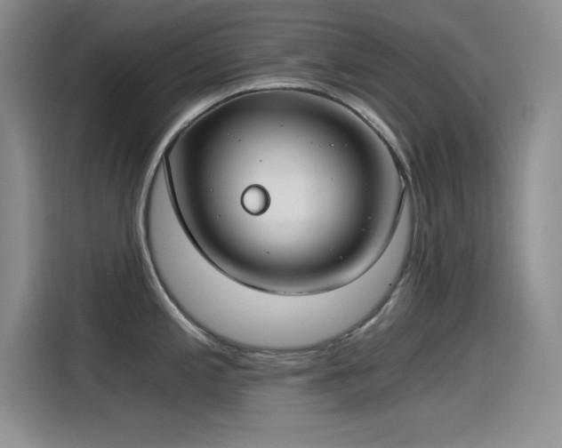 X0000115241197200911061141
