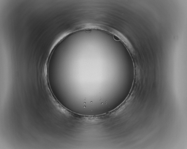 X0000115241198200911061141