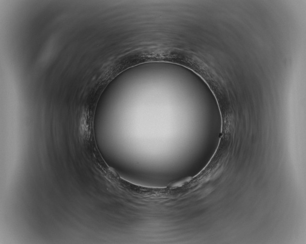 X0000115241202200911061140
