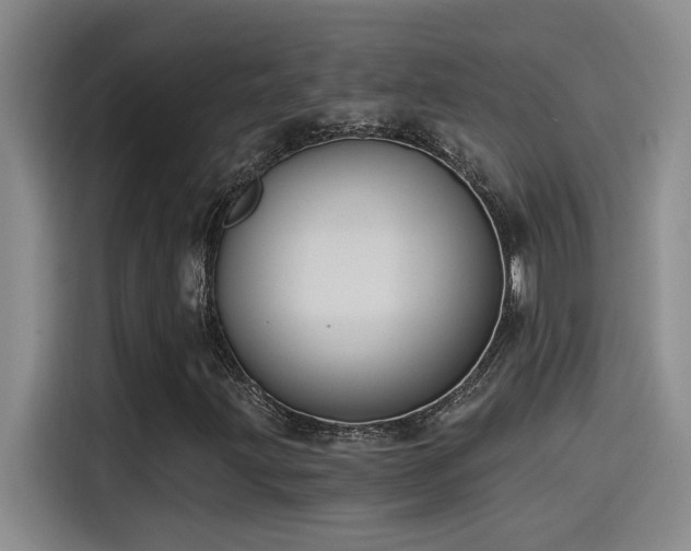 X0000115241203200911061140