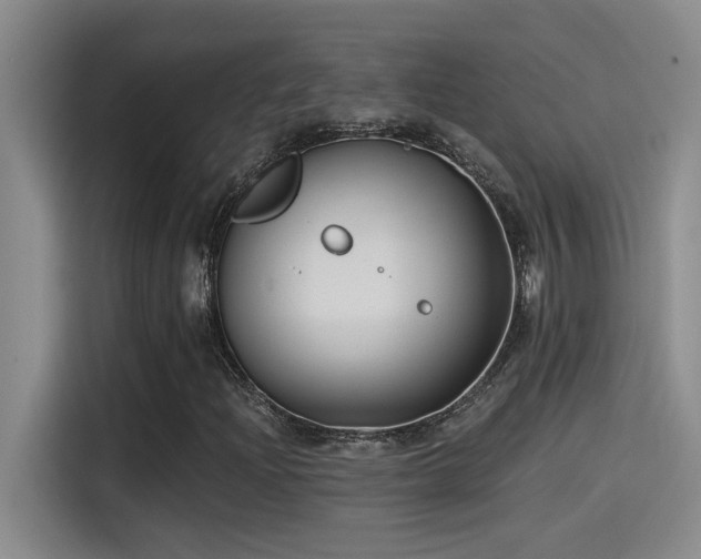 X0000115241204200911061140