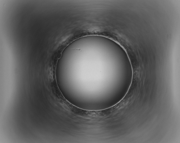 X0000115241205200911061140