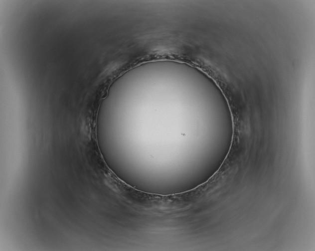 X0000115241207200911061140