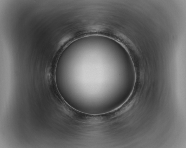 X0000115241210200911061140