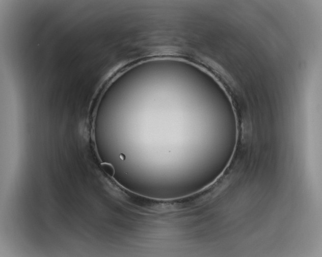 X0000115241212200911061140