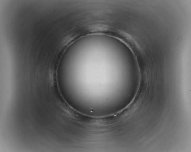X0000115241217200911061140