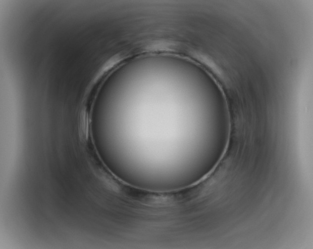 X0000115241219200911061141