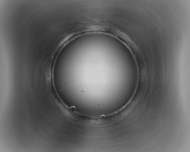 X0000115241220200911061141