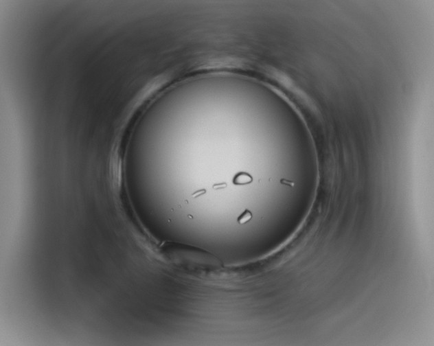 X0000115241221200911061141