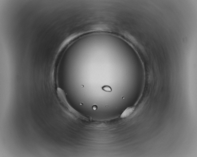 X0000115241222200911061141