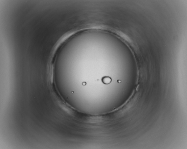 X0000115241223200911061141