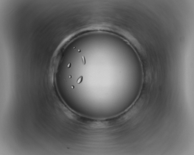 X0000115241224200911061141