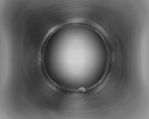 X0000115241226200911061141
