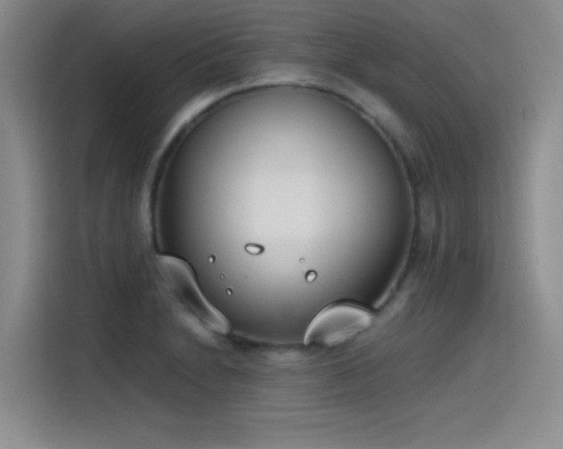X0000115241230200911061141
