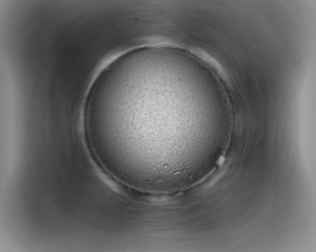 X0000115241231200911061141