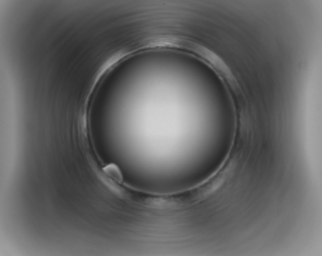X0000115241234200911061141