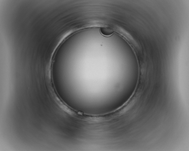X0000115241236200911061141