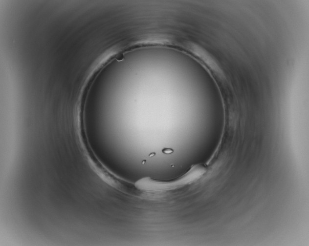 X0000115241237200911061141