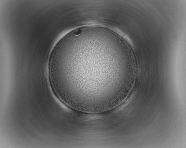 X0000115241239200911061141