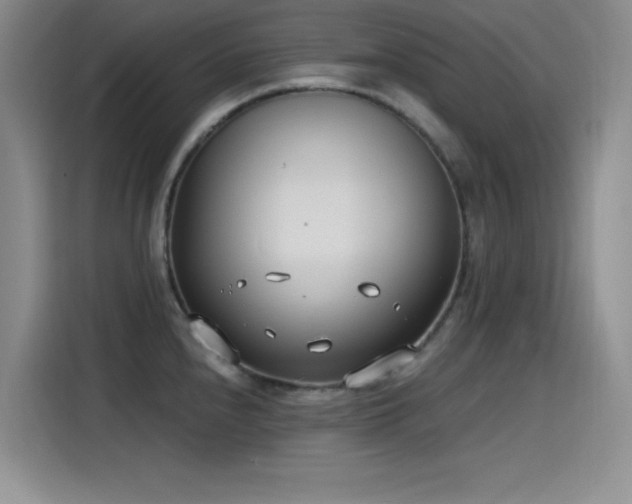 X0000115241240200911061141