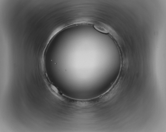 X0000115241242200911061141