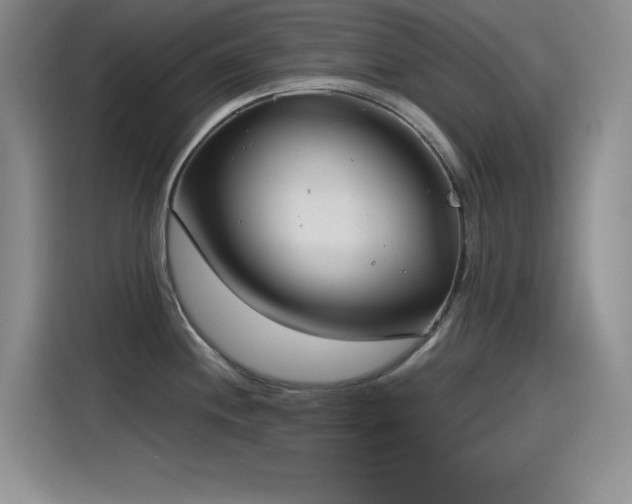 X0000115241244200911061141