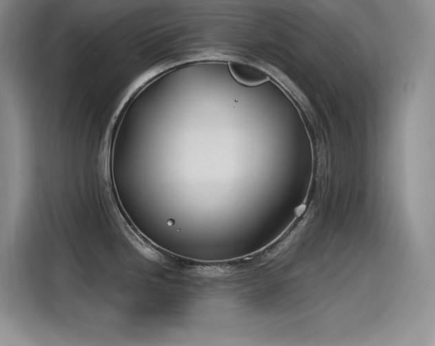 X0000115241246200911061141