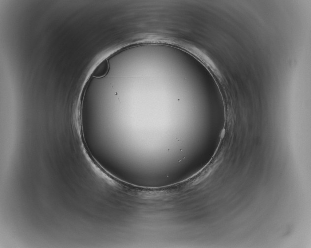 X0000115241247200911061141