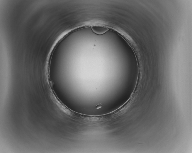 X0000115241248200911061141