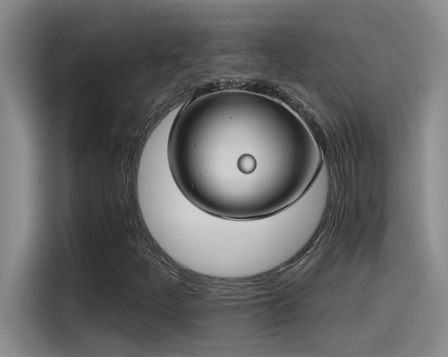 X0000115241252200911061140