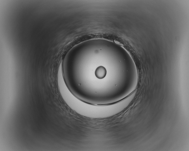 X0000115241253200911061140
