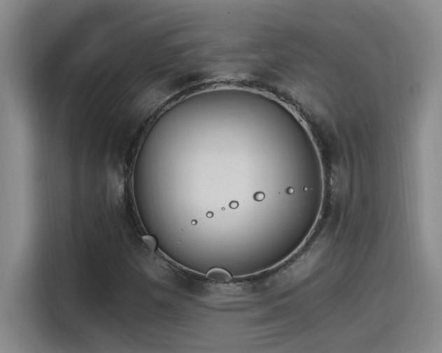 X0000115241257200911061140